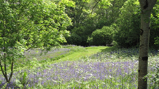 Trewith gardens and paddocks