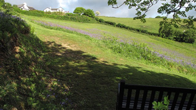 Trewith gardens and paddocks