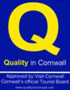 Quality in Cornwall logo